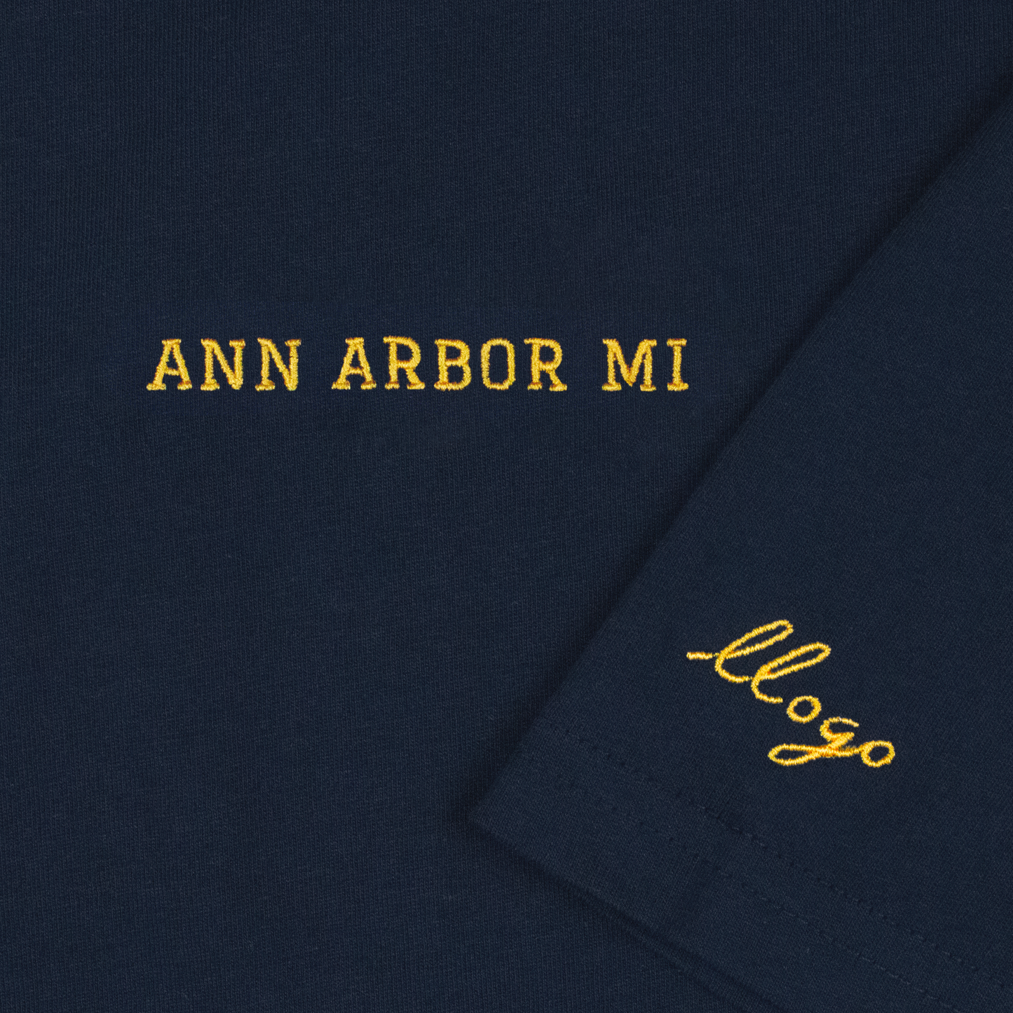 Ann Arbor - city shirt