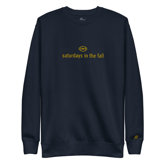 maize and blue - saturdays in the fall